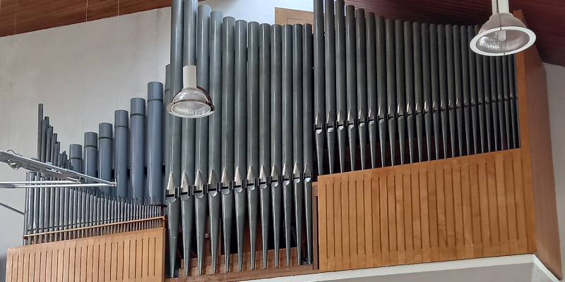 organ