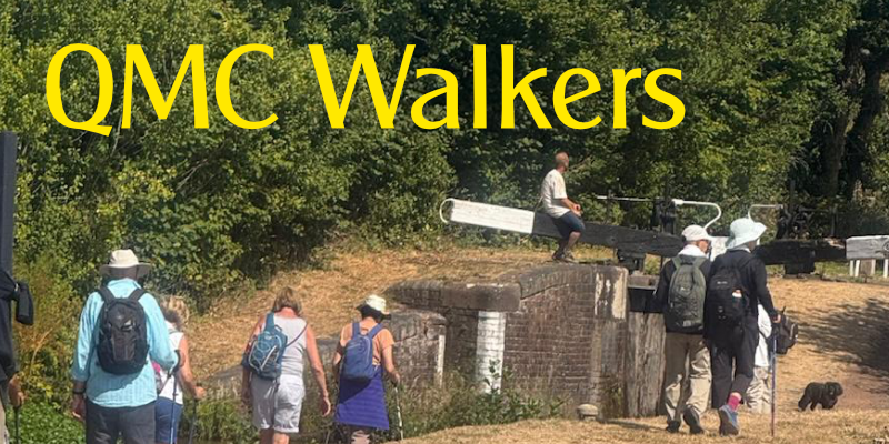 QMC Walkers